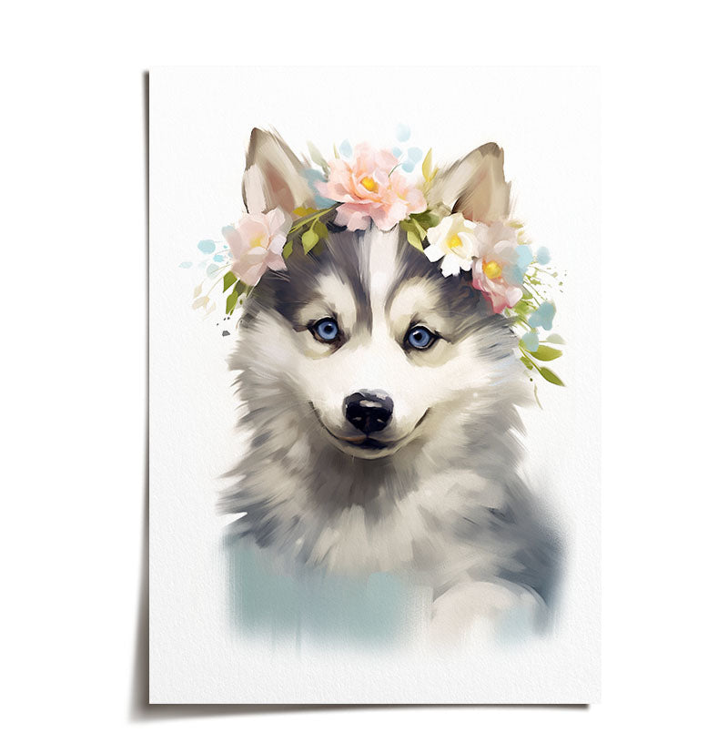 Husky Poster